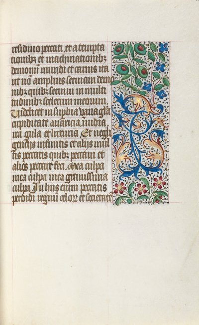 Libro d