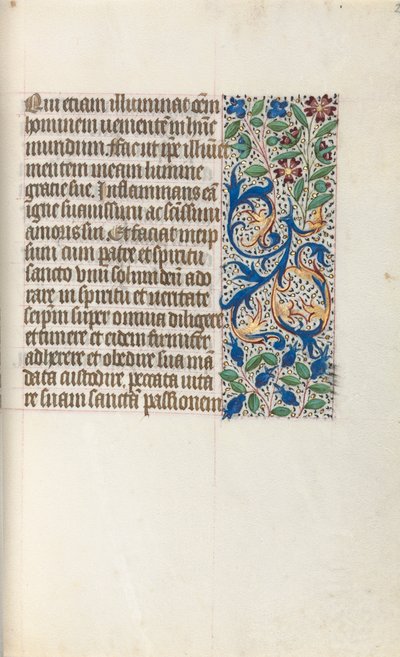 Libro d