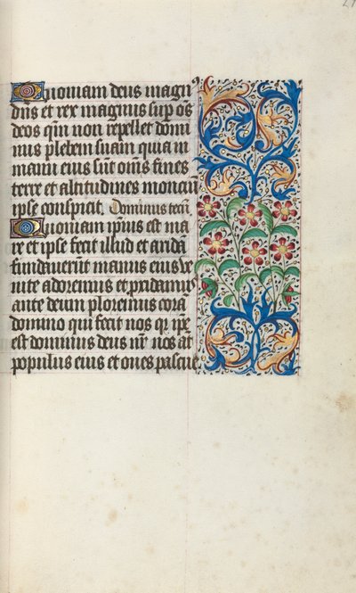 Libro d