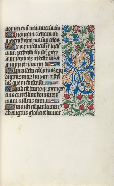 Libro d
