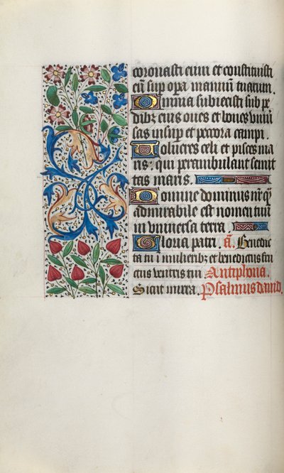 Libro d