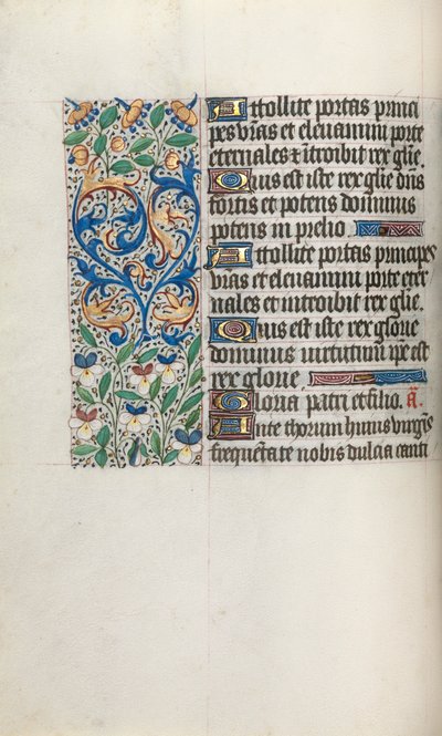 Libro d