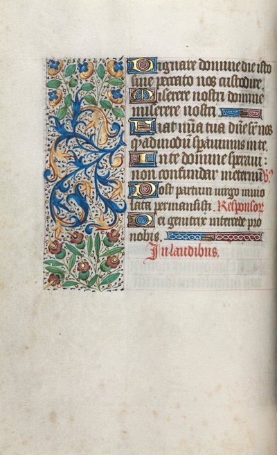 Libro d