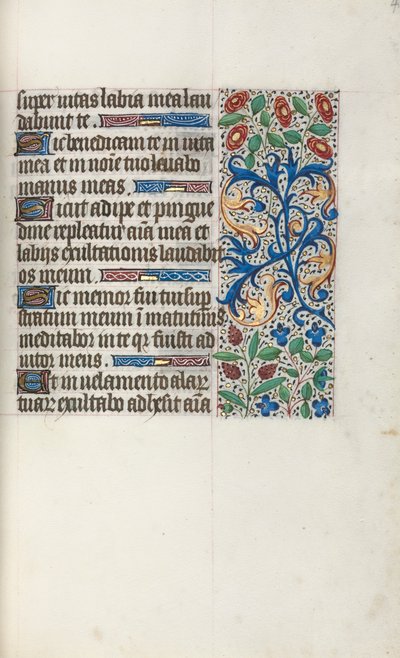 Libro d