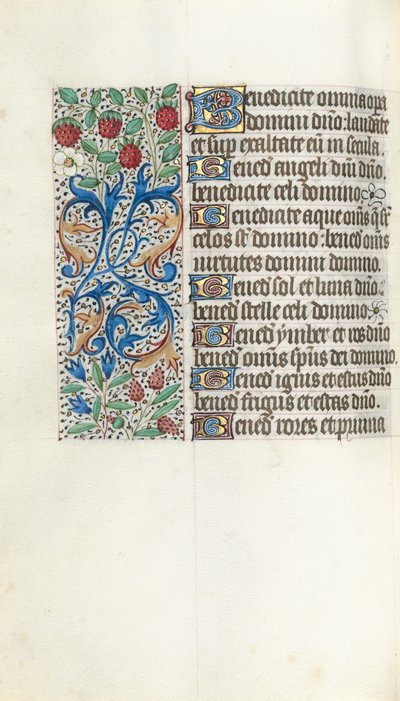 Libro d