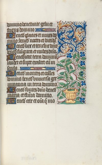 Libro d