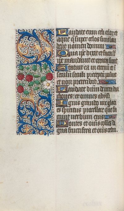 Libro d