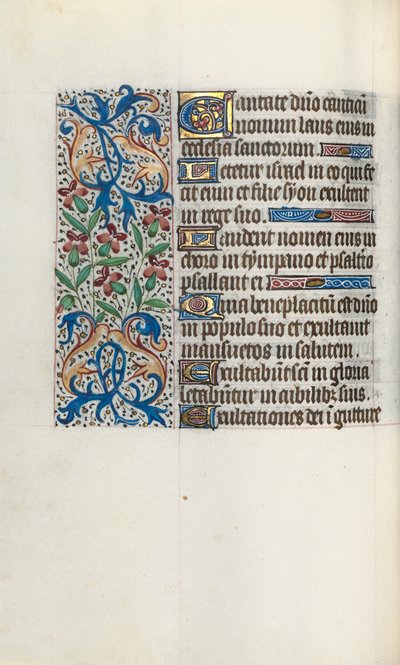 Libro d