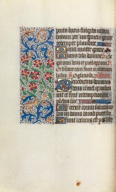 Libro d