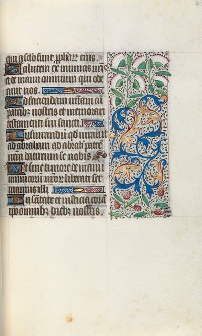 Libro d