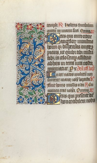 Libro d