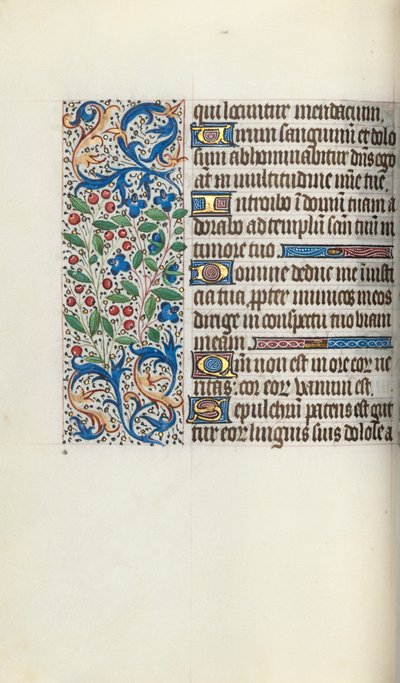 Libro d