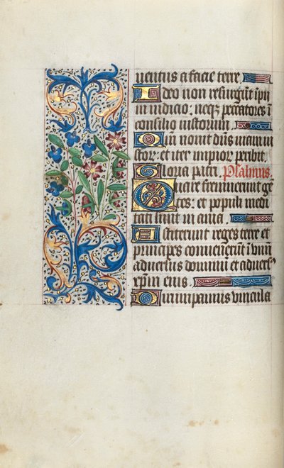 Libro d