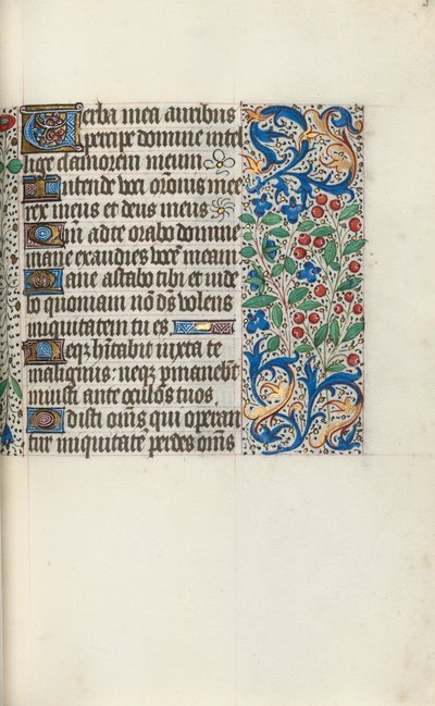Libro d