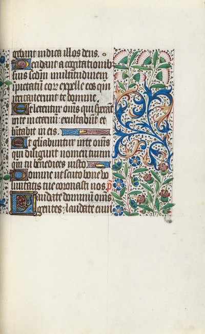 Libro d
