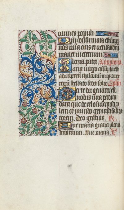 Libro d