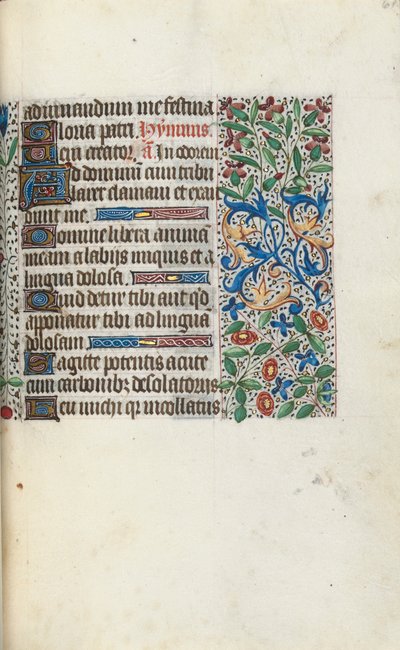 Libro d