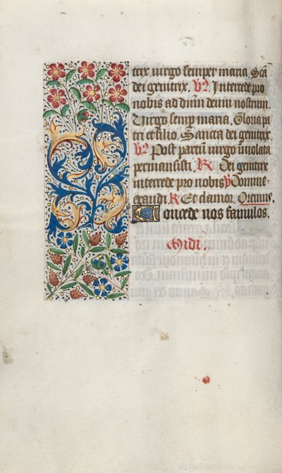 Libro d