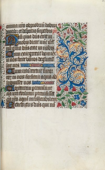 Libro d