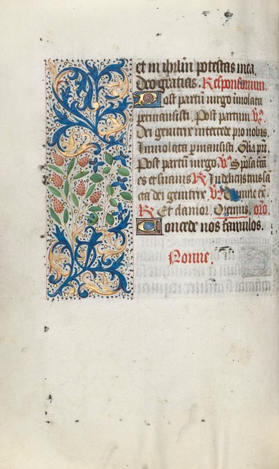 Libro d