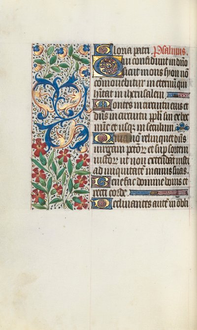 Libro d