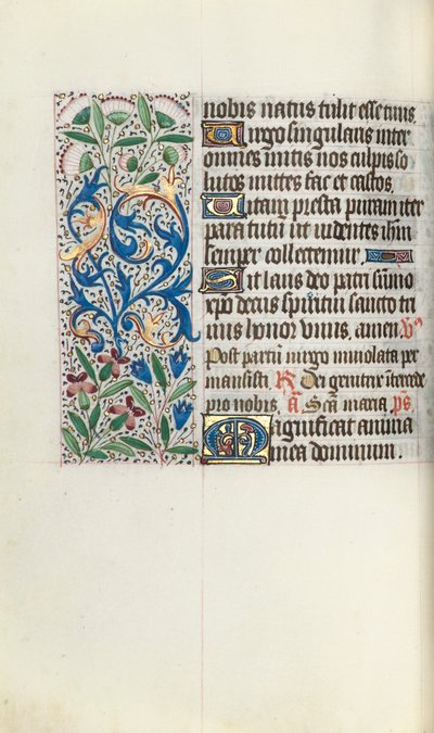 Libro d
