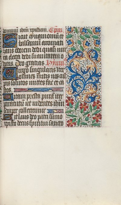 Libro d