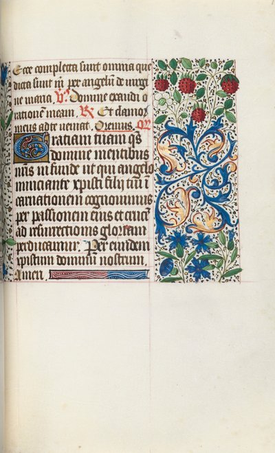 Libro d