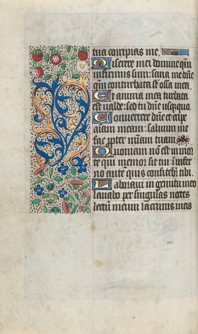 Libro d