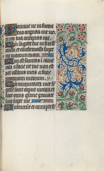 Libro d