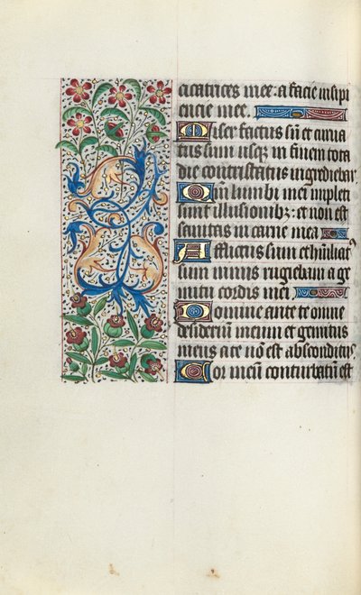 Libro d