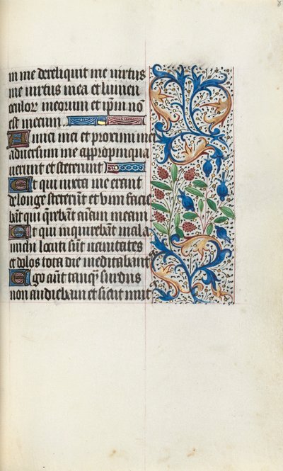 Libro d