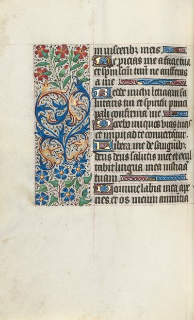Libro d