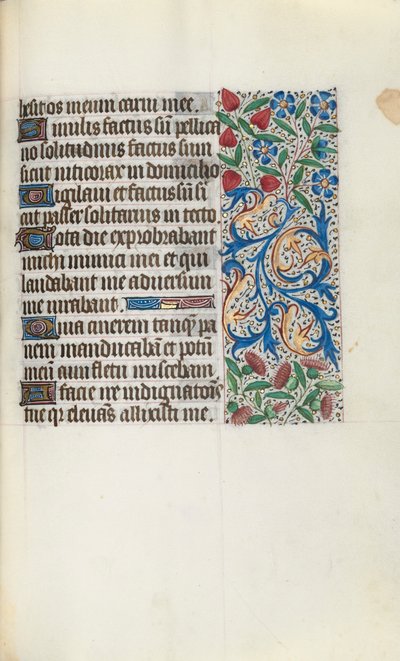 Libro d