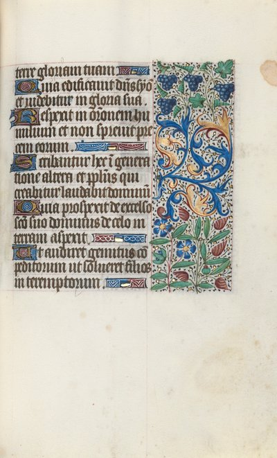 Libro d