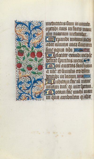 Libro d