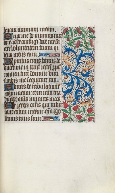 Libro d