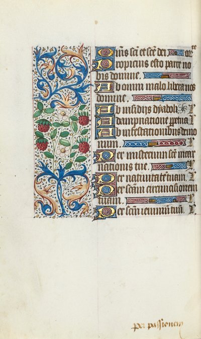 Libro d