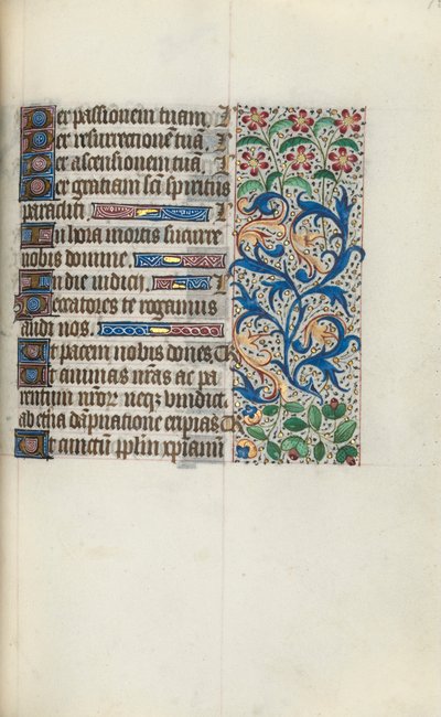 Libro d