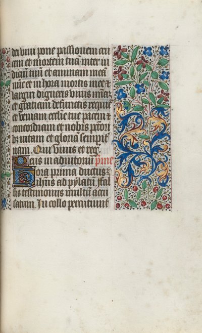 Libro d