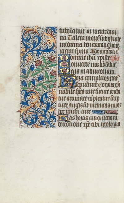 Libro d