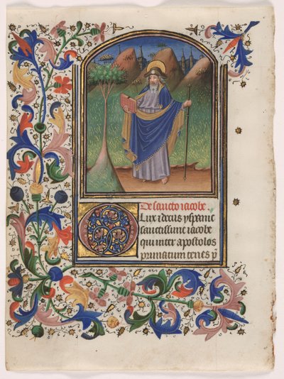 Foglia da un Libro d