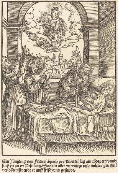 Ein Jungling von Friderschpach ... da Master of the Miracles of Mariazell