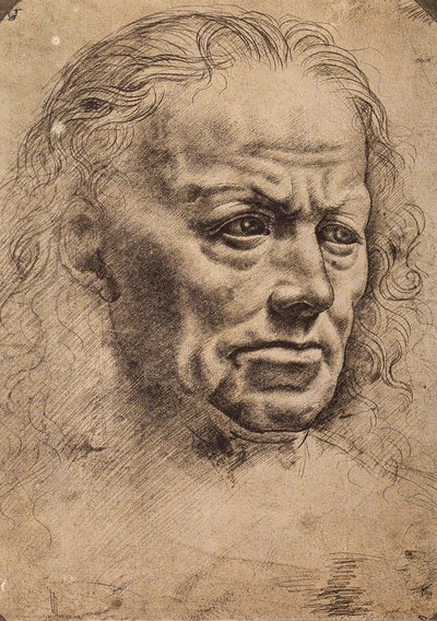 Testa di un uomo da Master of the Pala Sforzesca