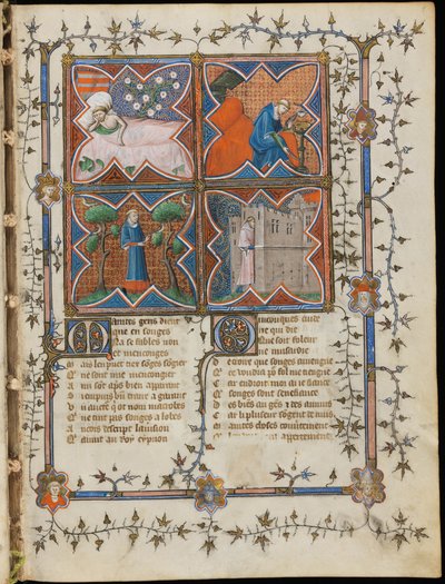 Miniatura da un manoscritto del Roman de la Rose di Guillaume de Lorris e Jean de Meun, 1353 da Master of the Rose novels