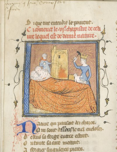Miniatura da un manoscritto del Roman de la Rose di Guillaume de Lorris e Jean de Meun, ca 1365 da Master of the Rose novels