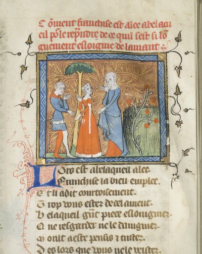 Miniatura da un manoscritto del Roman de la Rose di Guillaume de Lorris e Jean de Meun, ca 1365 da Master of the Rose novels
