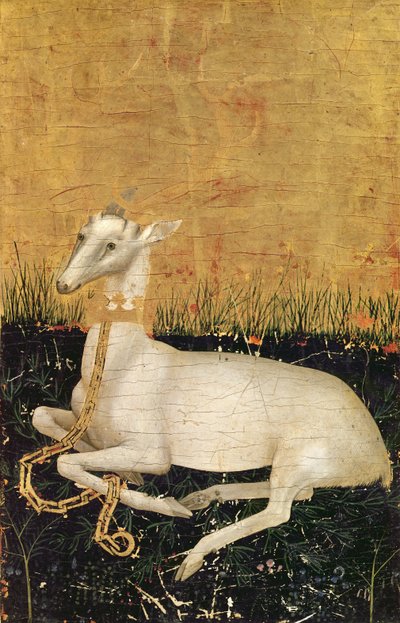 Cervo Bianco, dal 