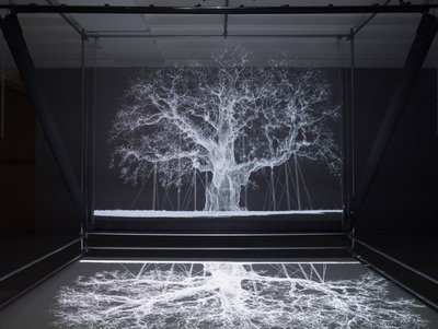 Albion, 2017 (Proiettore, lettore multimediale, impalcatura, pellicola trasparente, legno, vernice, specchio, accessori per lo stretching) da Mat Collishaw