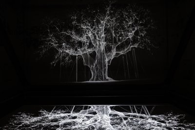 Albion, 2017 (Proiettore, lettore multimediale, impalcatura, pellicola trasparente, legno, vernice, specchio, accessori per lo stretching) da Mat Collishaw